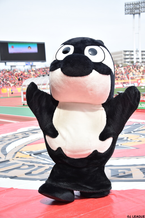 公式】祝・マスコット総選挙初優勝☆グランパスくんの魅力を