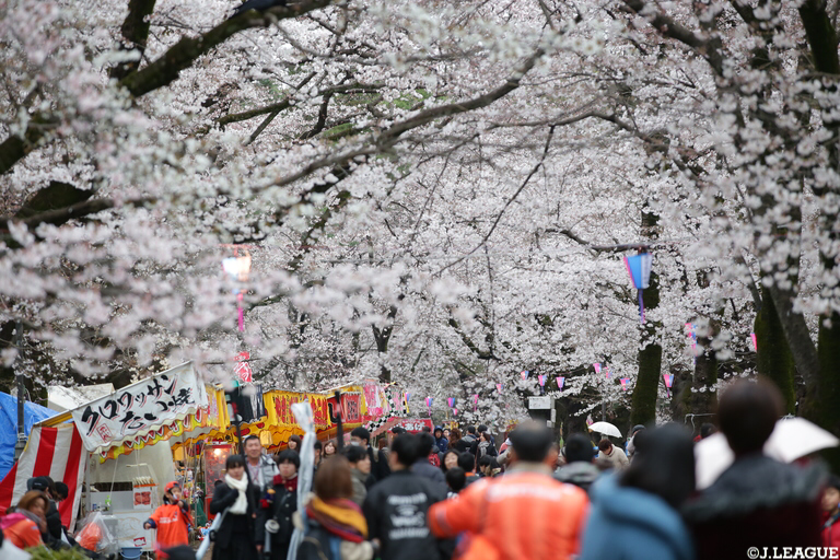 せっかくだからお花見も 春を満喫するための ｊ楽編集部的さくら名所5選 ｊリーグ Jp