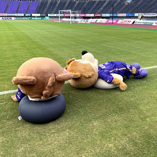 公式】【発見がいっぱい】へー！こんなものもあるんだ！！J